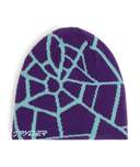 Men's Reversible Web Beanie - Glacier Blue