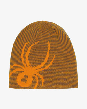 Boys' Reversible Bug - Storm